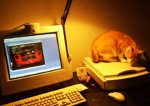 I'll get that mouse!